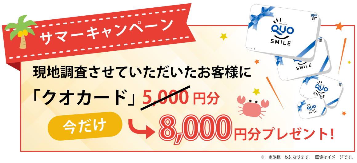 サマーキャンペーン