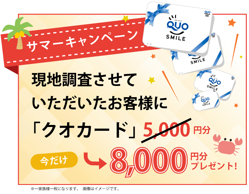 サマーキャンペーン