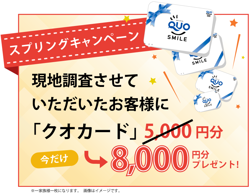 スプリングキャンペーン